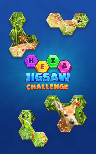 Hexa Jigsaw Challenge screenshot 5
