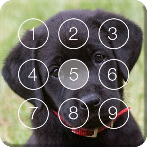 Cute Black Labrador Puppies Screen Lock 2.0