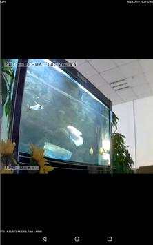 P2PLiveCam screenshot 11