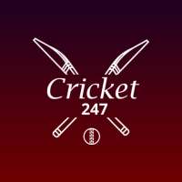 Cricket 247 logo