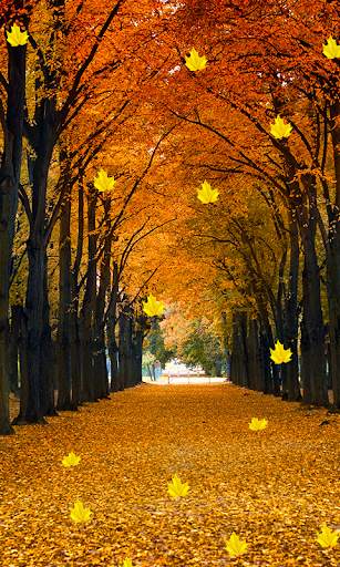 Fall Live Wallpaper screenshot 7