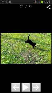 High-Speed Camera screenshot 5