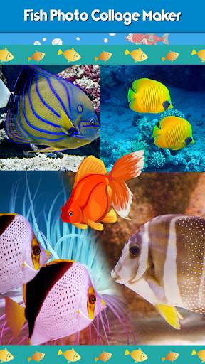 Fish Photo Collage Maker screenshot 1