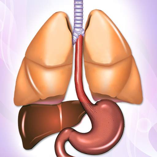 Tuberculosis TB Symptoms Causes & Diet Help 2.0