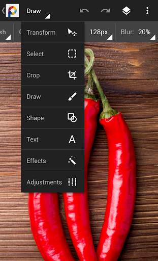 PhotoSuite 4 Free 1 تصوير الشاشة