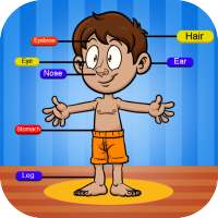 Learn About Body Parts on 9Apps