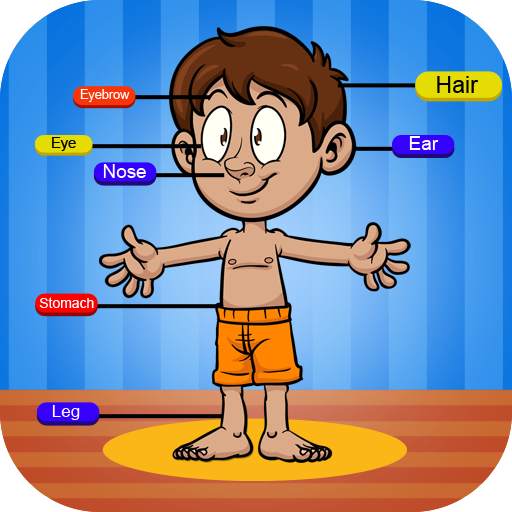 Learn About Body Parts 1.1.0