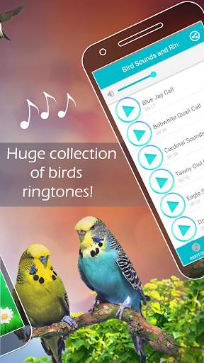 Bird Sounds and Ringtones screenshot 2