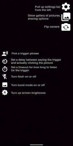 Voice Selfie screenshot 5