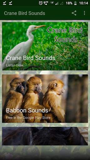 Crane Bird Sounds screenshot 1