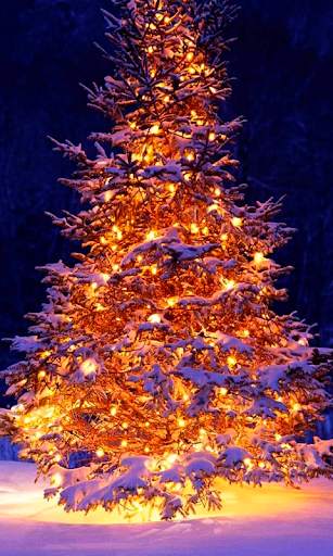 New Year Live Wallpaper (live backgrounds) screenshot 1