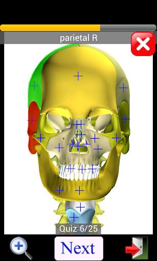 Anatomy Quiz скриншот 5
