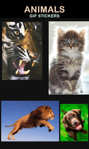 Animal Gif Stickers screenshot 5