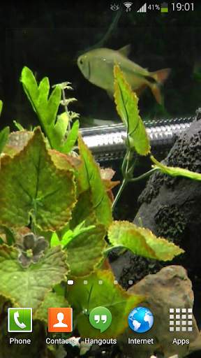 Fish Live Wallpaper HD 2 screenshot 9
