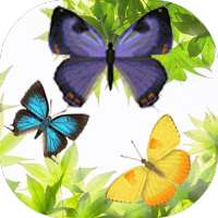Butterfly and Blossom live wallpaper logo