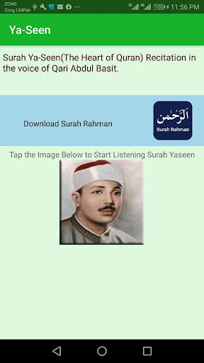 Surah Yaseen (Offline Audio) Q screenshot 1