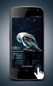 Hedwig Owl Animated Wallpaper 1 تصوير الشاشة