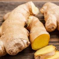Ginger ginger icon