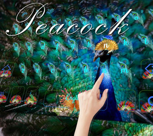 Blue peacock Keyboard Theme screenshot 3