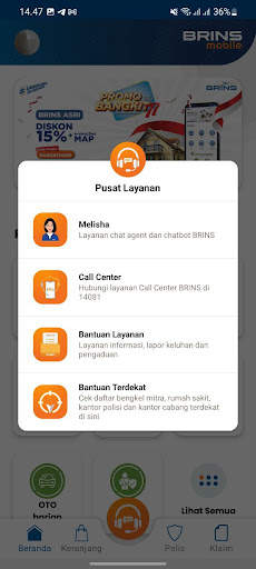 BRINSmobile screenshot 5