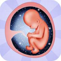 Pregnancy tips Week by week icon