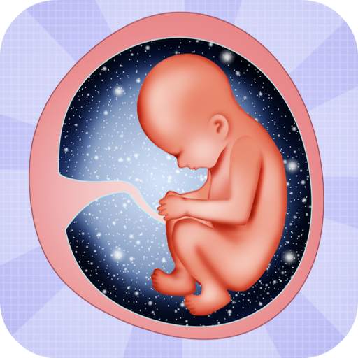 Pregnancy tips Week by week 1.2-1005
