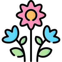WishRise Flowers