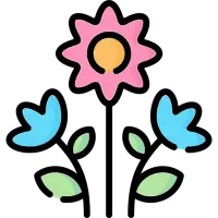 WishRise Flowers