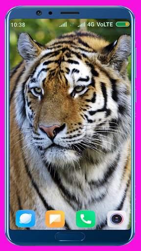Tiger Wallpaper Best 4K screenshot 9