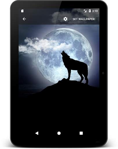 3D Wallpaper Parallax - 4D Backgrounds screenshot 8
