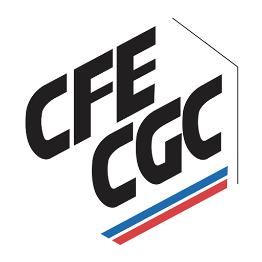 My CFE-CGC Airbus Avions icon