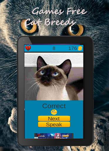 Cat Breeds: Cat Games screenshot 12