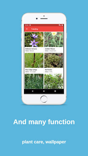 plant finder: plant, flower, fruit identification screenshot 5
