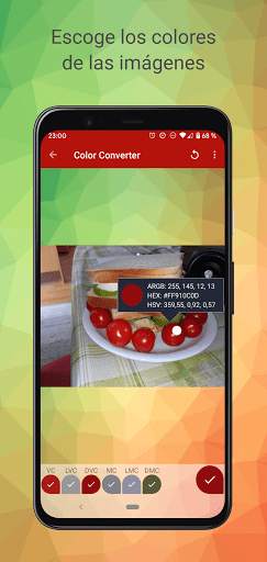 Color Converter screenshot 4