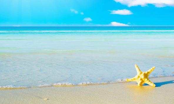 Beach Wallpapers screenshot 4