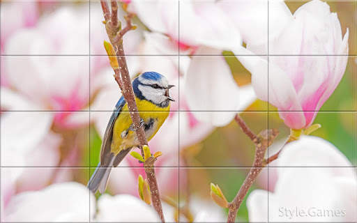 Sparrows Puzzle स्क्रीनशॉट 1