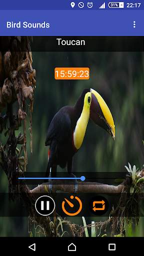 Relax & Sleep with Bird Sounds screenshot 1