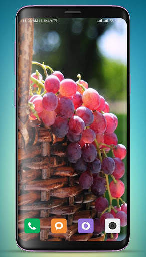 Grapes Wallpaper HD screenshot 6