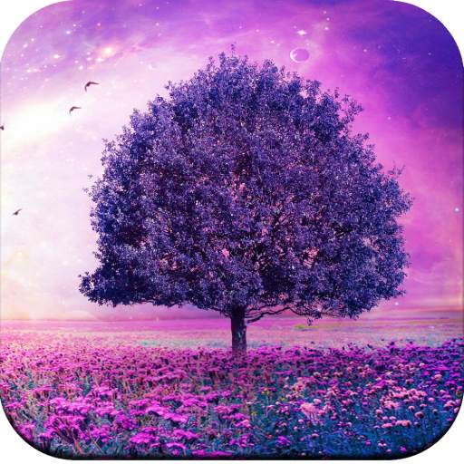 Beautiful Wallpapers 4K 1.06