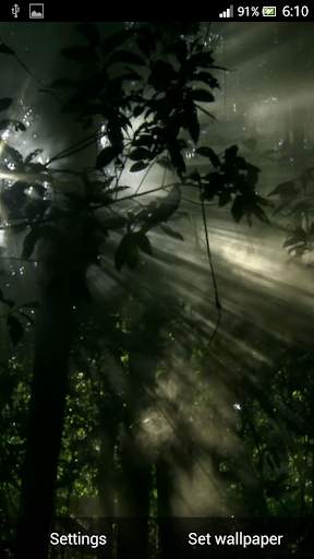 Rain Forest Live Wallpaper screenshot 4