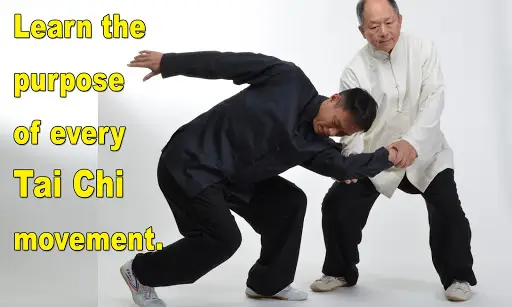 Tai Chi Martial Applications screenshot 14