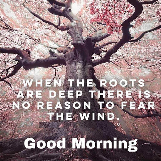 Inspiring Good Morning Quotes screenshot 1