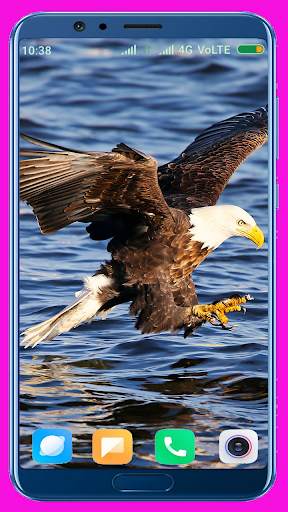Eagle Wallpaper Best 4K screenshot 4