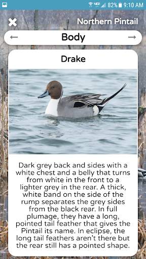The Duck ID App screenshot 1