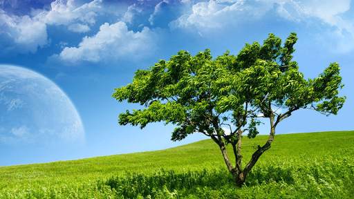 Nature Backgrounds HD 7 تصوير الشاشة