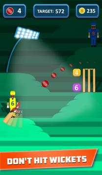 Mr. Bat: The Cricket Game screenshot 1