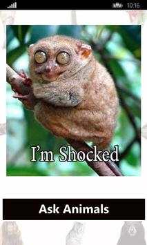 Ask Funny Animals screenshot 5
