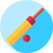 Mini Cricket 1.0.1