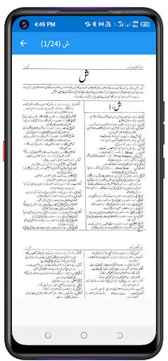 Feroz ul lughat فیروز اللغات screenshot 4