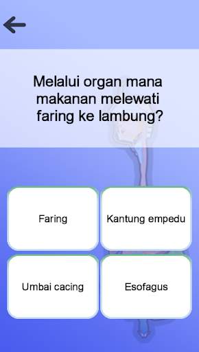 Anatomi screenshot 5